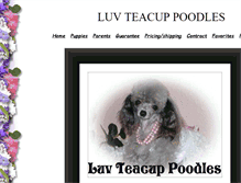 Tablet Screenshot of luvtcuppoodles.com
